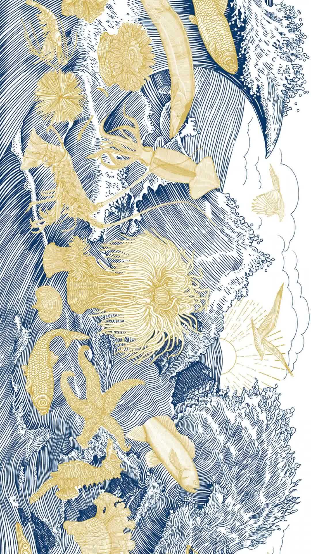 螃蟹海鱼海马海鲜世界版画/海鲜包装插画 海鲜包装 海鲜 版画 我是原创插画师