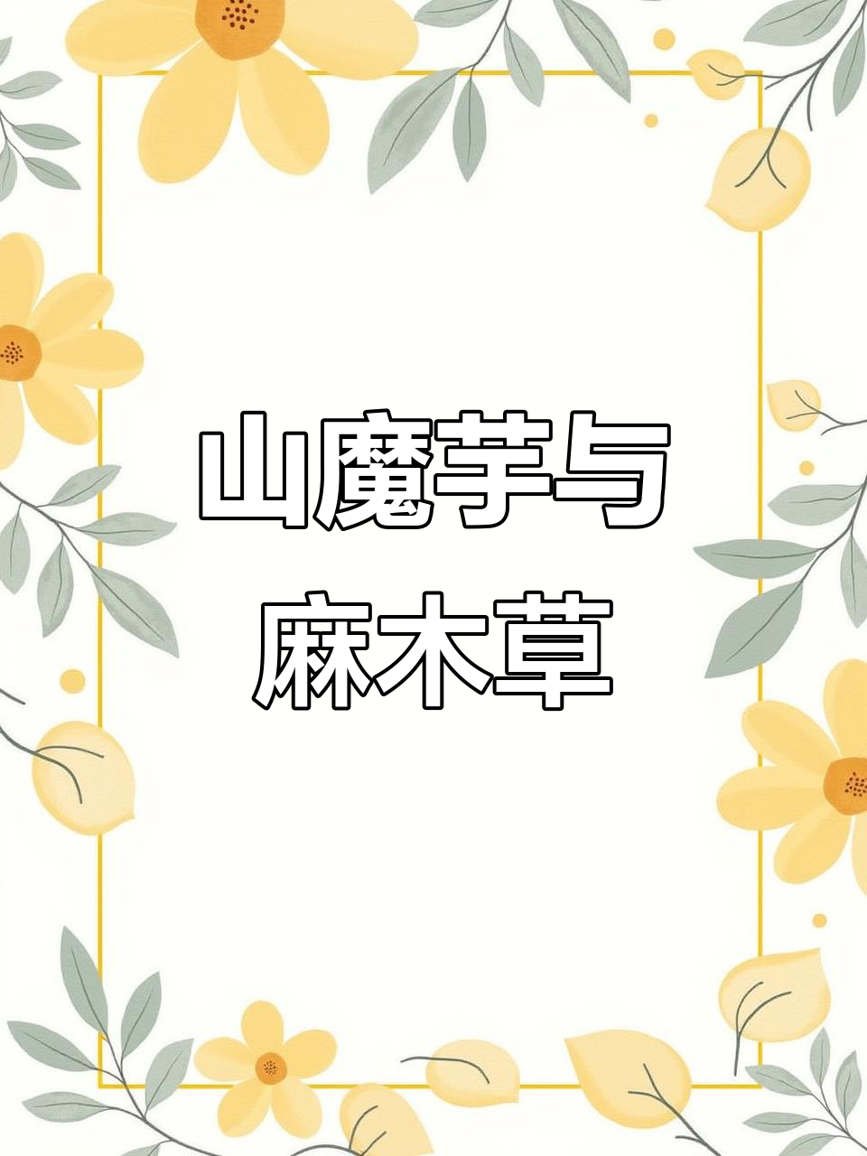 探秘野生山魔芋:一种被称为“老蛇包谷”的奇特草药