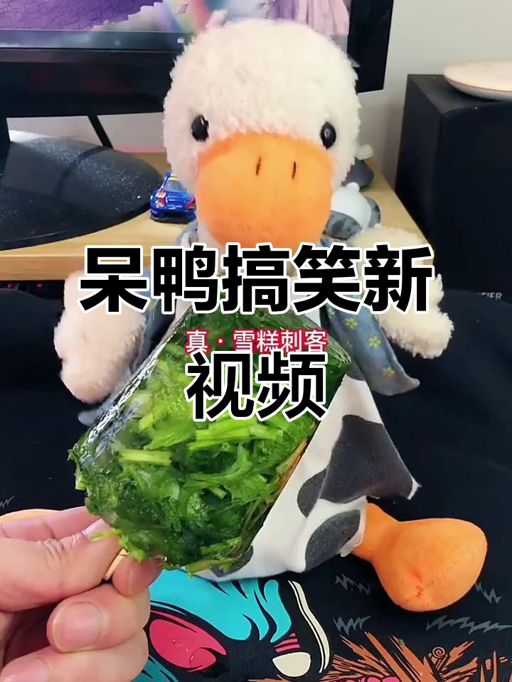 呆鸭雪糕大挑战，香菜爱好者必试！
