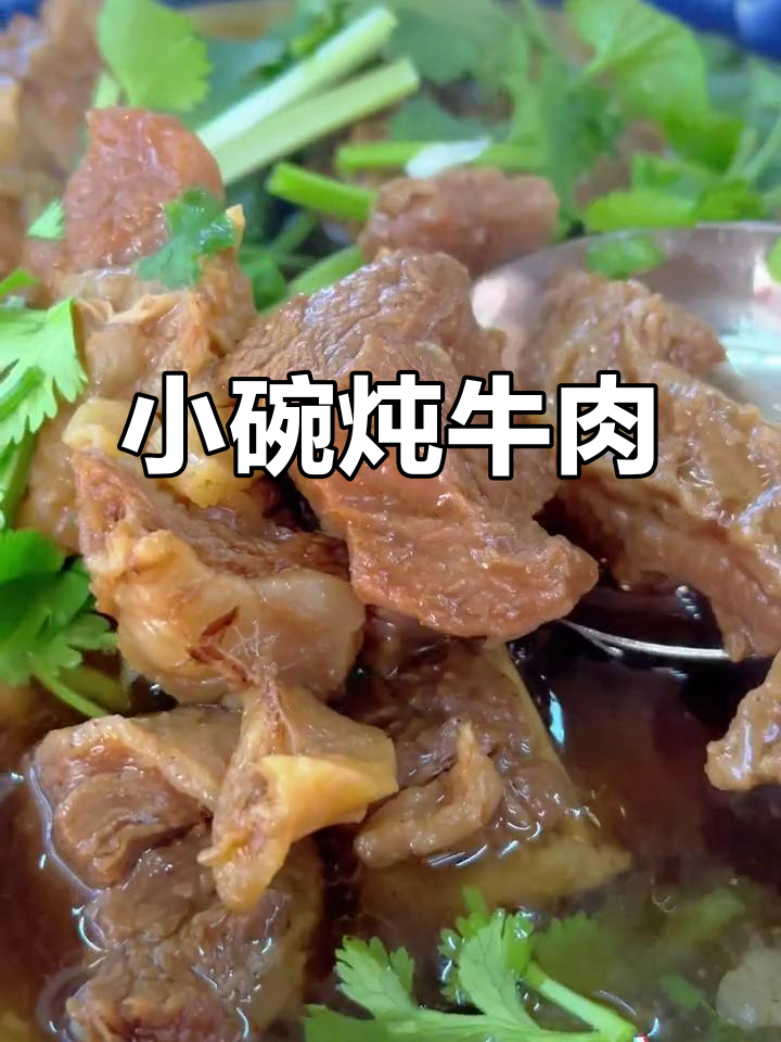 苏加小碗炖牛肉,肥瘦相间原汁炖汤鲜美软烂
