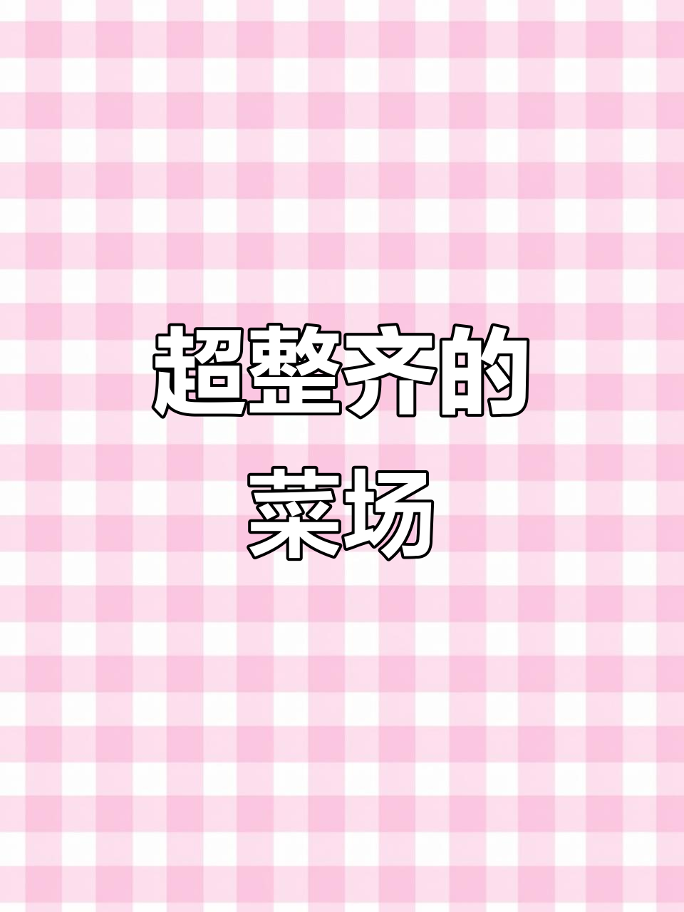 辽宁超市蔬菜摆放精致,强迫症看了简直无法抗拒!