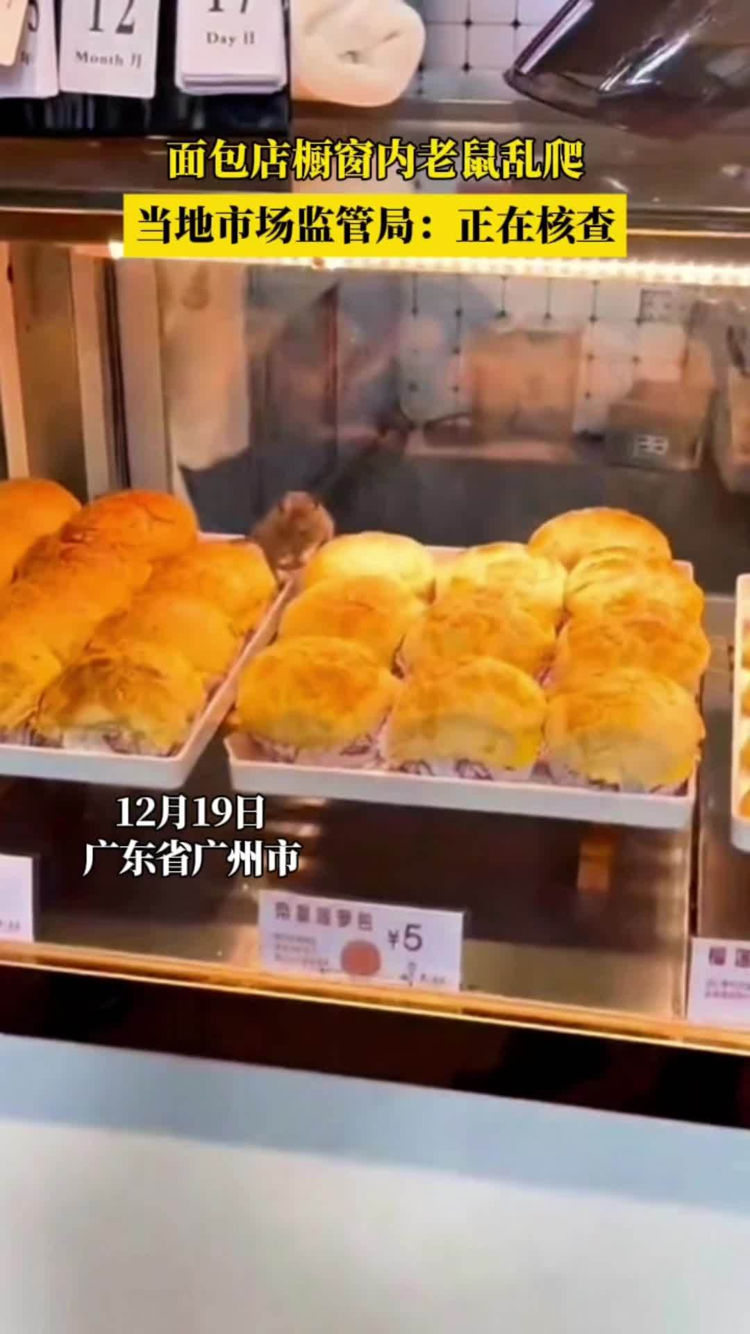 面包店橱窗内老鼠乱爬。当地市场监管局:正在核查