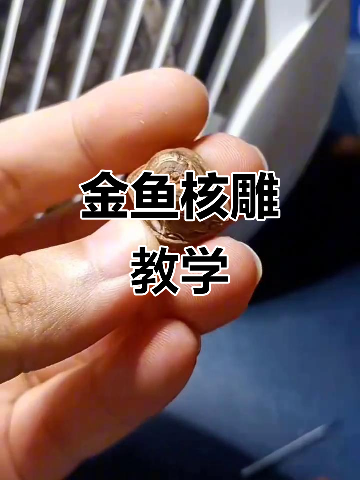 核雕金鱼教程：从零基础到立体雕刻
