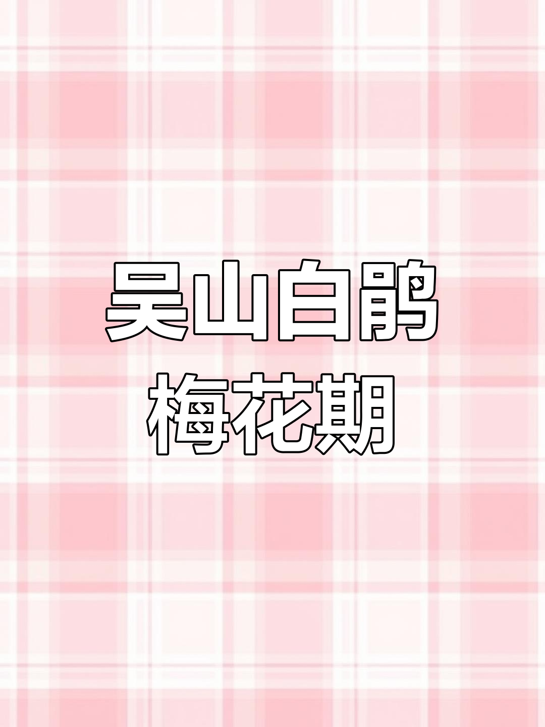 宝鸡吴山白鹃梅盛开,周末赏花正当时