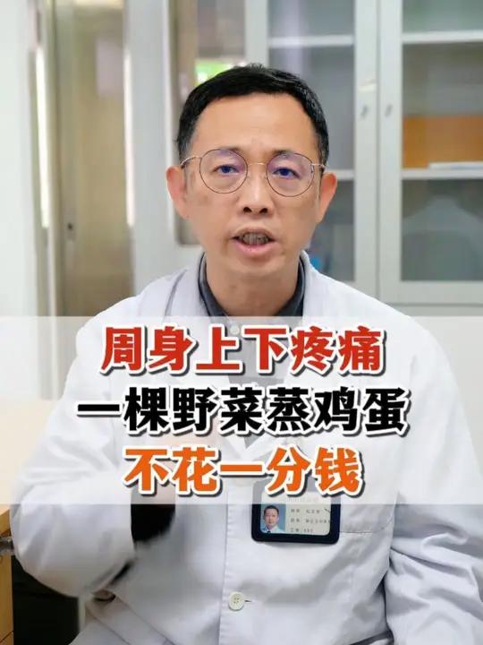 周身上下疼痛,一棵野菜蒸鸡蛋,不花一分钱