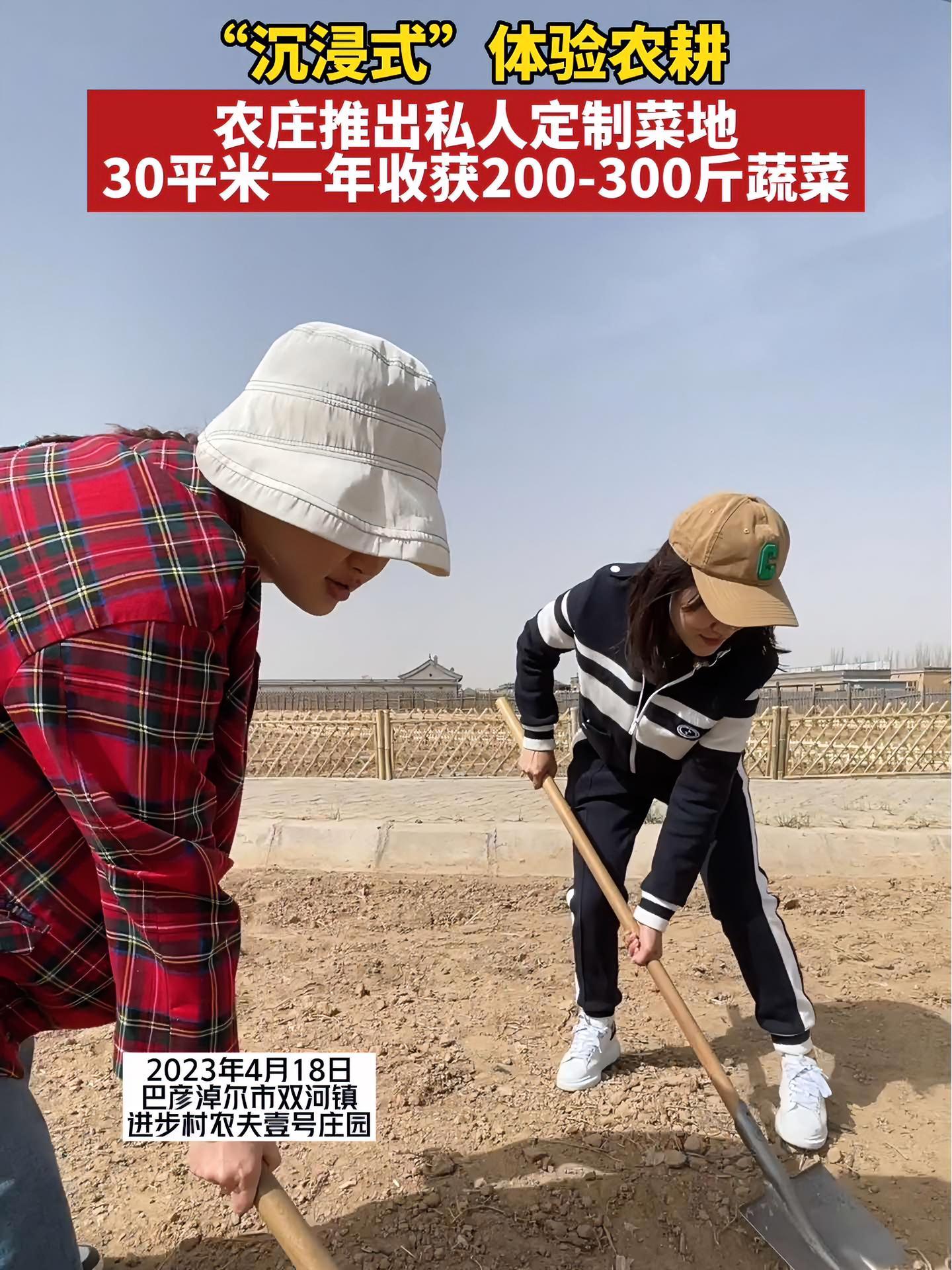 “沉浸式”体验农耕,农庄推出私人订制菜地,30平米一年收获200-300斤蔬菜 智慧农场 