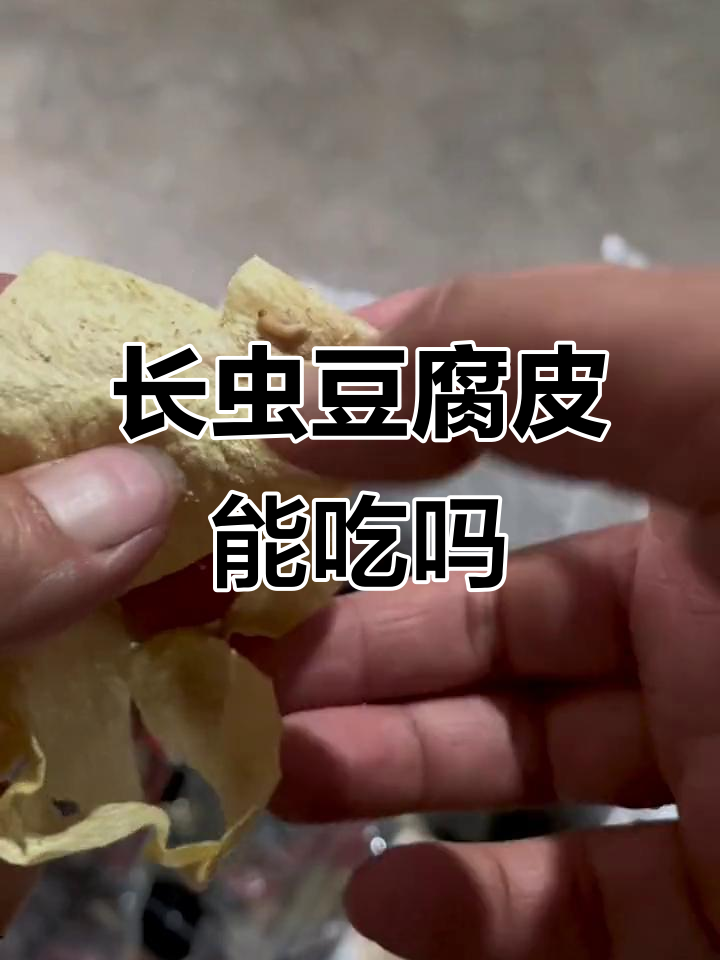 豆腐皮长虫了还能吃吗?自创美食乱炒一锅,味道堪忧
