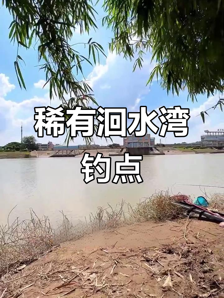 本地人都未必知道的稀缺钓鱼点,洄水湾钓位大揭秘