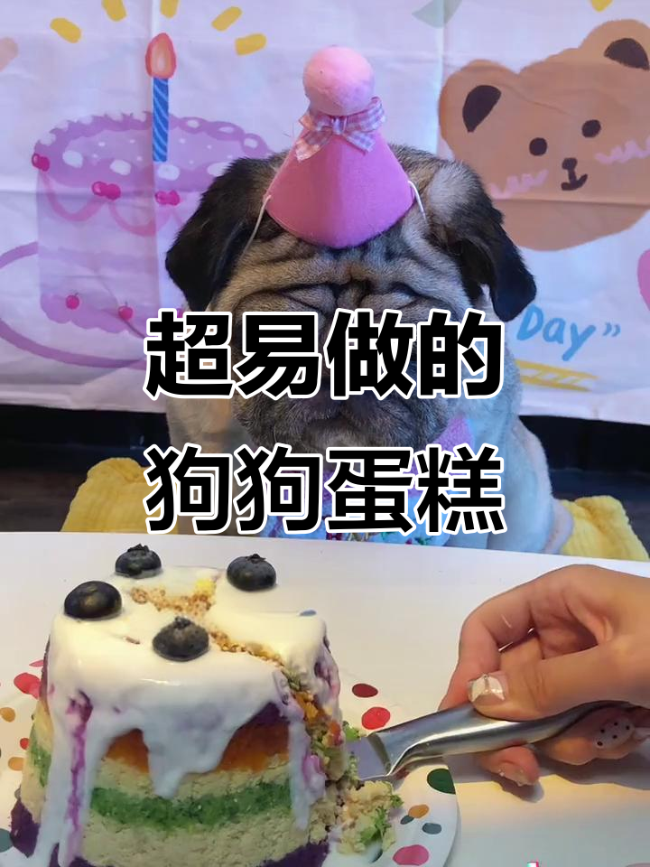 简单步骤教你做宠物生日蛋糕,健康又美味