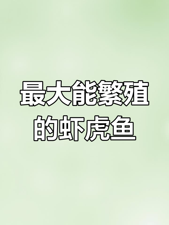 虾虎鱼繁殖大小限制