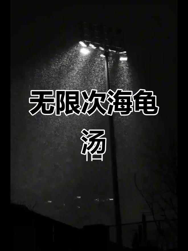 海龟汤挑战:你能坚持多久?