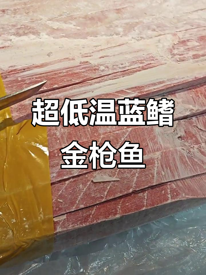 蓝鳍金枪鱼大腹刺身,雪花纹理超惊艳!