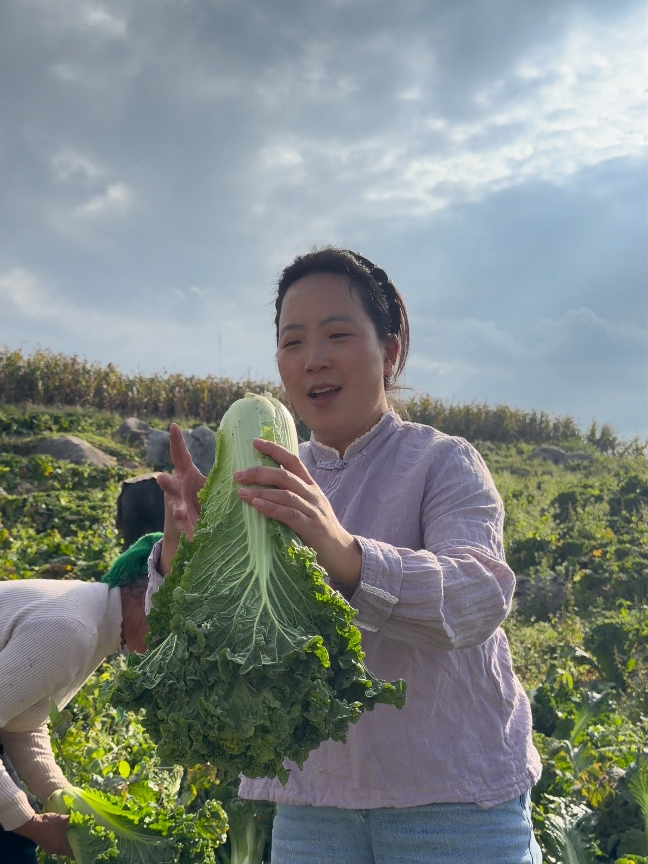 高海拔乌蒙山区的青口白菜,口感鲜美超好吃!