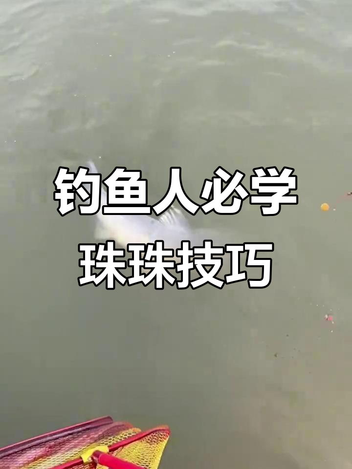 学会这种珠珠挂法，钓青鱼轻松上手