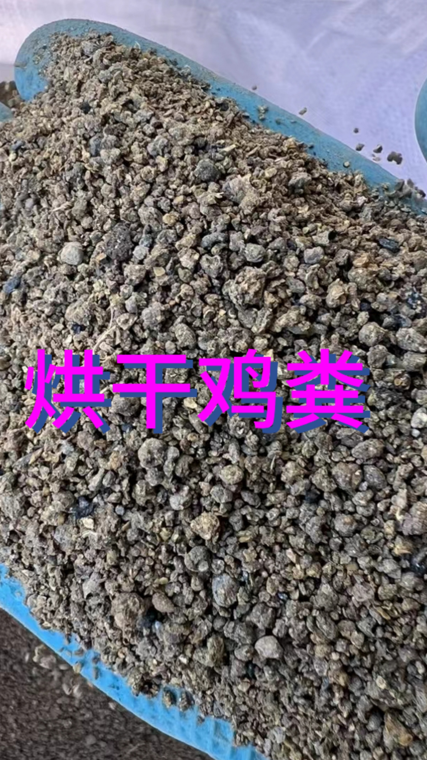 烘干鸡粪可做水产肥水也可以做猪牛羊饲料添加