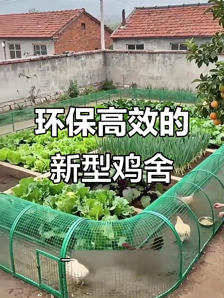 现代农村新型鸡舍设计，网格通道助力生态养殖