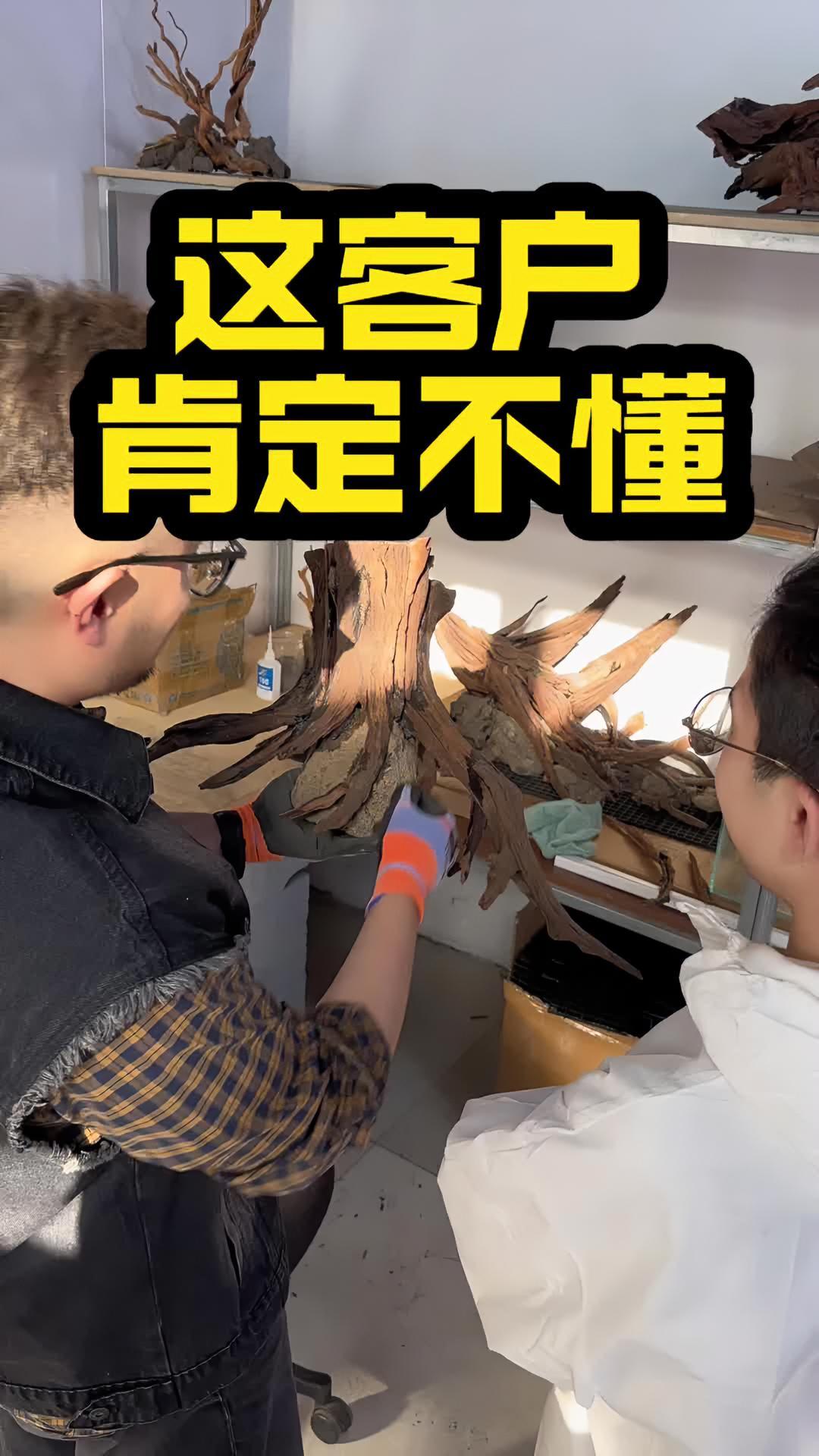 鱼缸造景我满意最重要!哈哈哈!你喜欢谁的造景!?水族 养鱼 鱼缸 水草缸 南美缸
