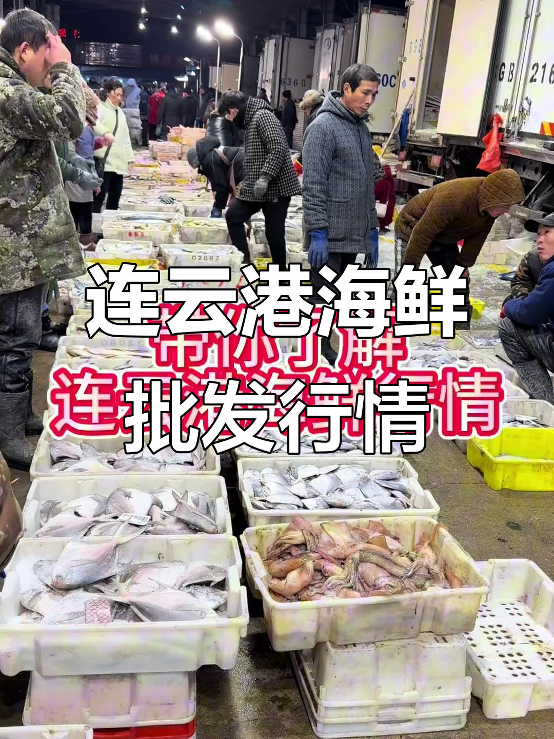 1月31日江苏连云港海鲜市场:鱿鱼、龙利鱼等热销