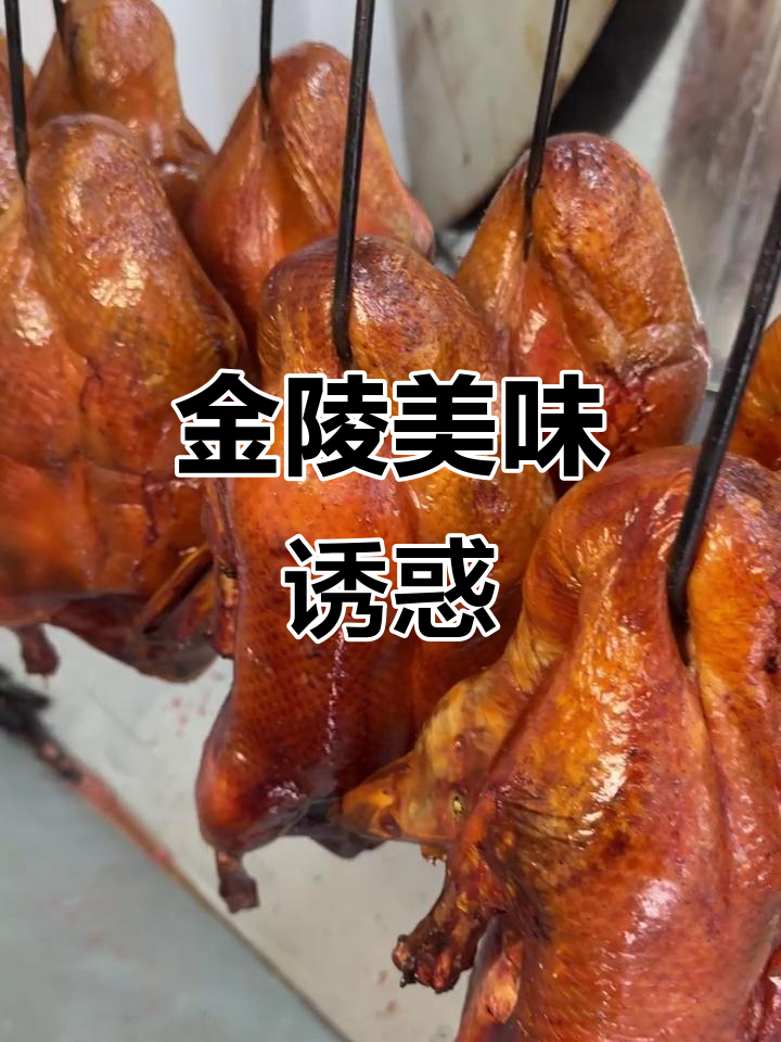 南京新店,脆皮烤鸭让人停不下来!三碗饭都不够吃!