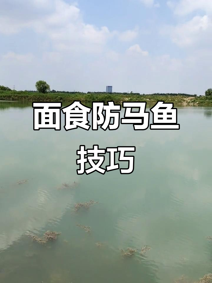 夏季水库钓鱼防麻鱼小技巧,面食饵料这样处理效果更佳