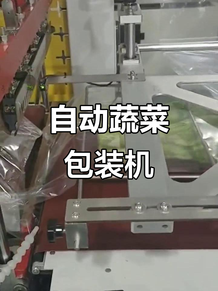 蔬菜自动流水线包装,湖南专业设备助力高效打包