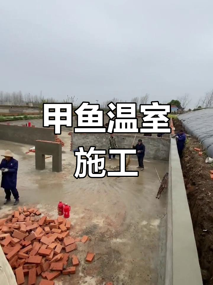 高密度甲鱼养殖大棚搭建实拍