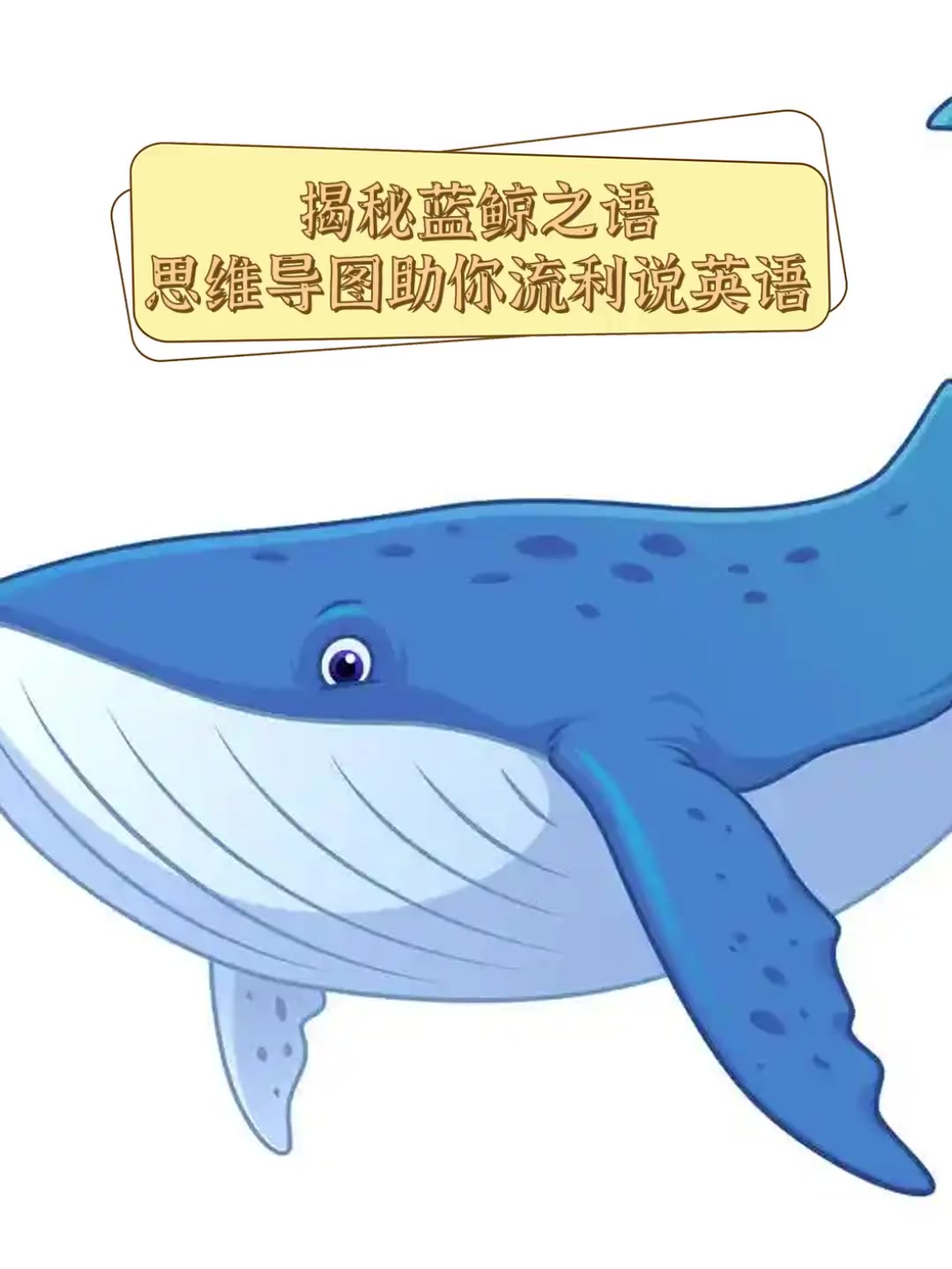 揭秘蓝鲸之语,思维导图助你流利说英语