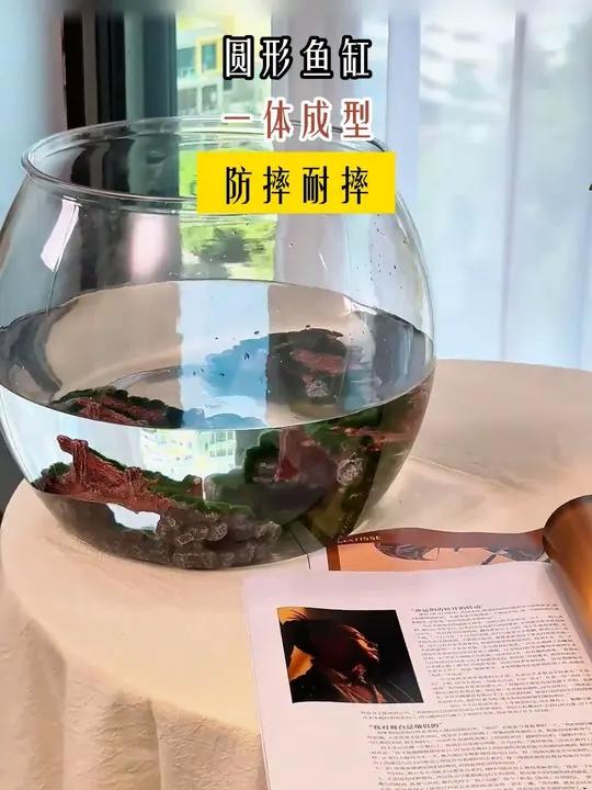 圆形鱼缸一体成型,防摔耐摔,客厅 小型桌面 生态缸