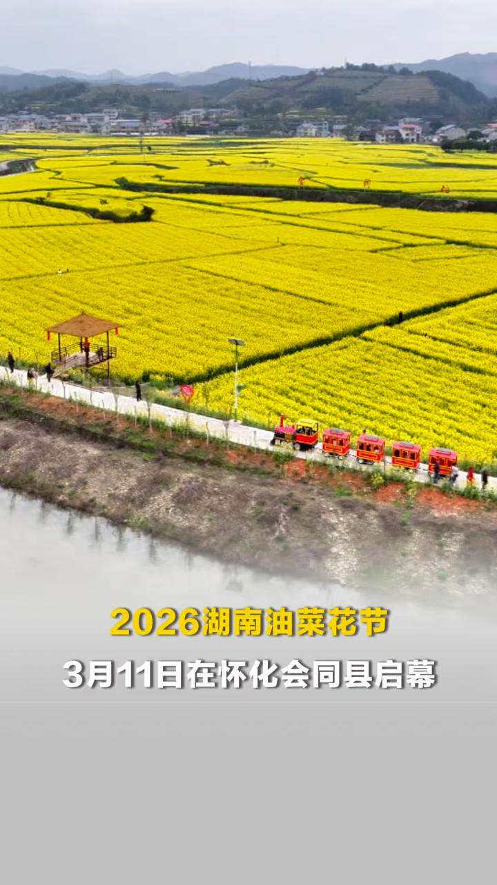 共赴油菜花之约！2026湖南油菜花节3月11日在怀化会同启幕