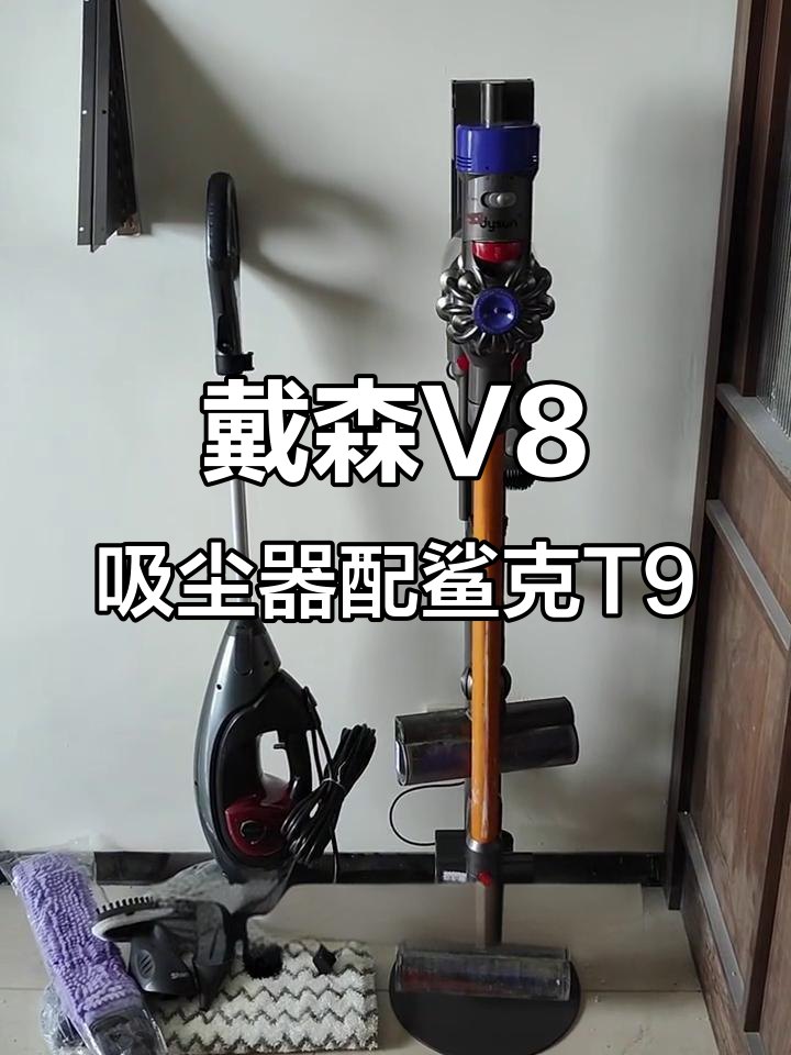 吸尘器+蒸汽拖把，轻松搞定家庭清洁