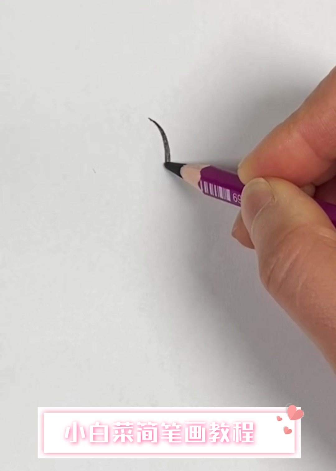 小白菜简笔画教程