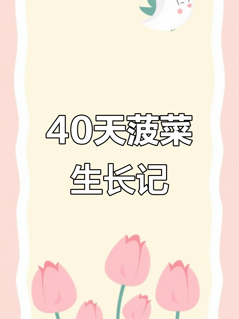 40天见证菠菜成长,从种子到收获全过程