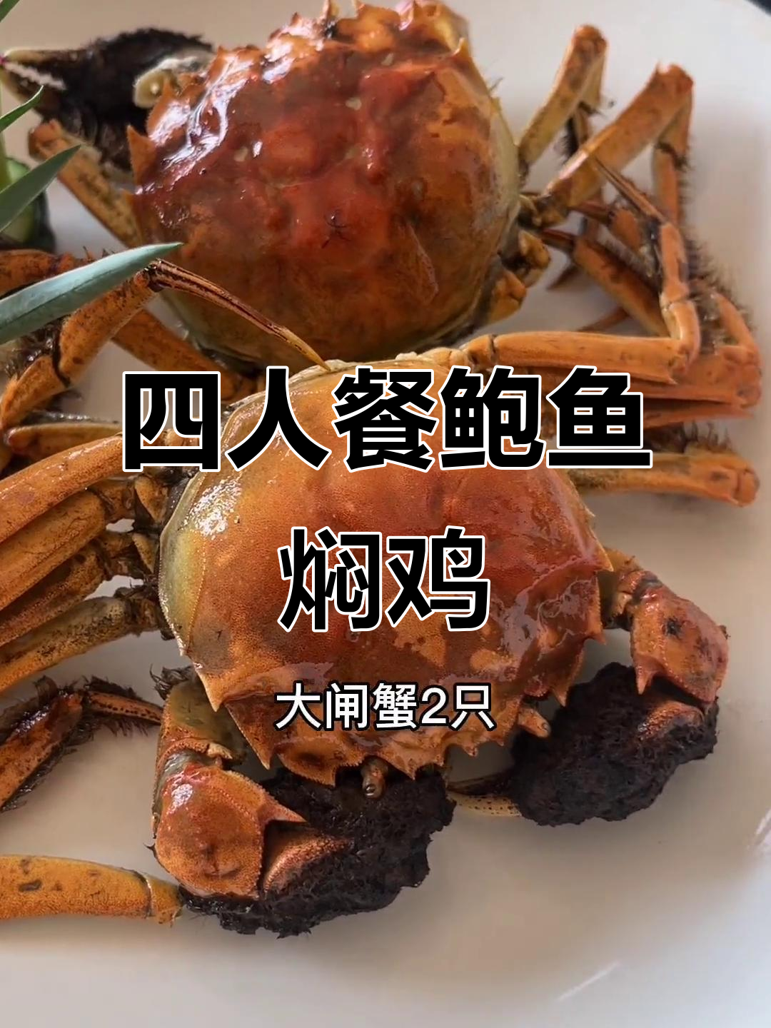 鲍鱼虾蟹焖鸡,四人餐超值美味,回头客满满