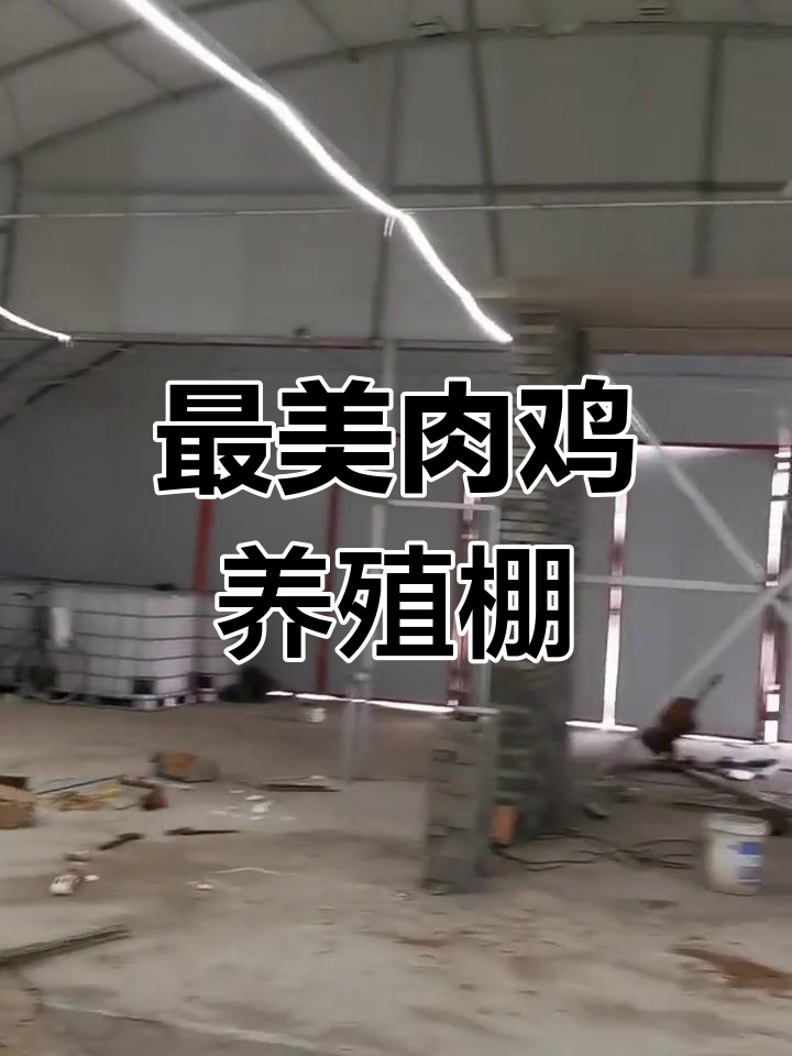 肉鸡养殖大棚建设全攻略,抗风抗压设计让你无忧