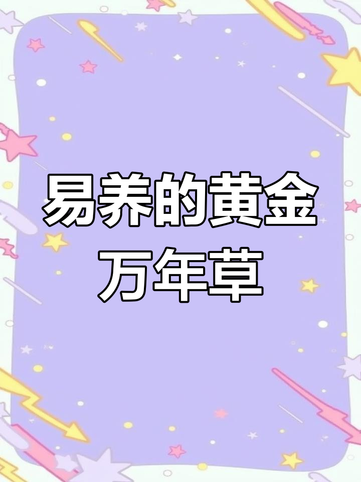 黄金万年草:超容易养爆盆的多肉植物,喜水喜光养护技巧