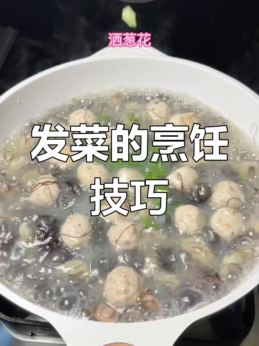 发菜的家常做法大全