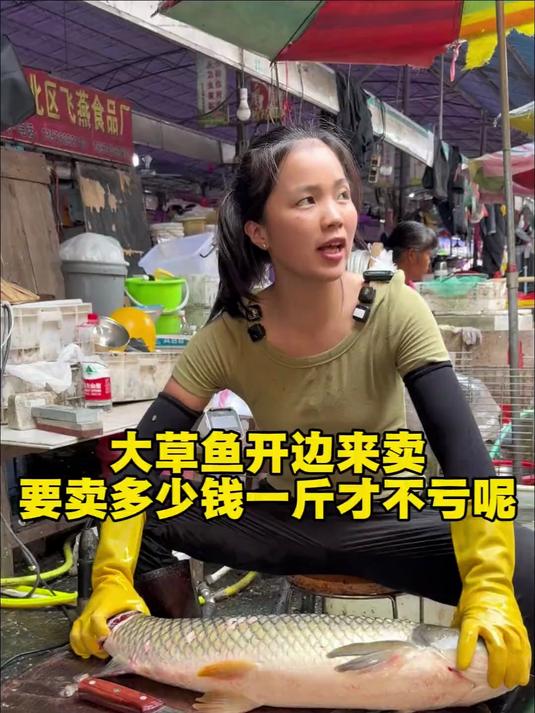 大草鱼开边来卖 要卖多少钱一斤才不亏呢？