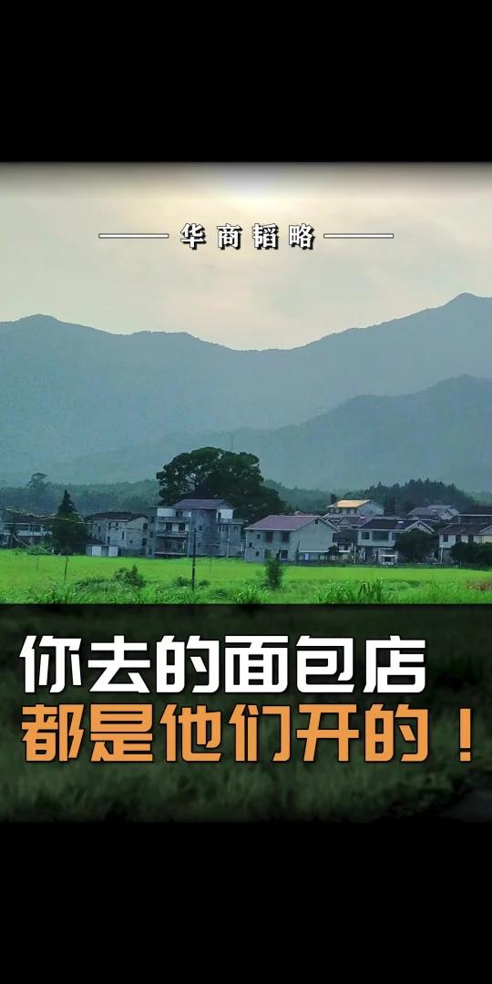 你去的面包店,都是他们开的!