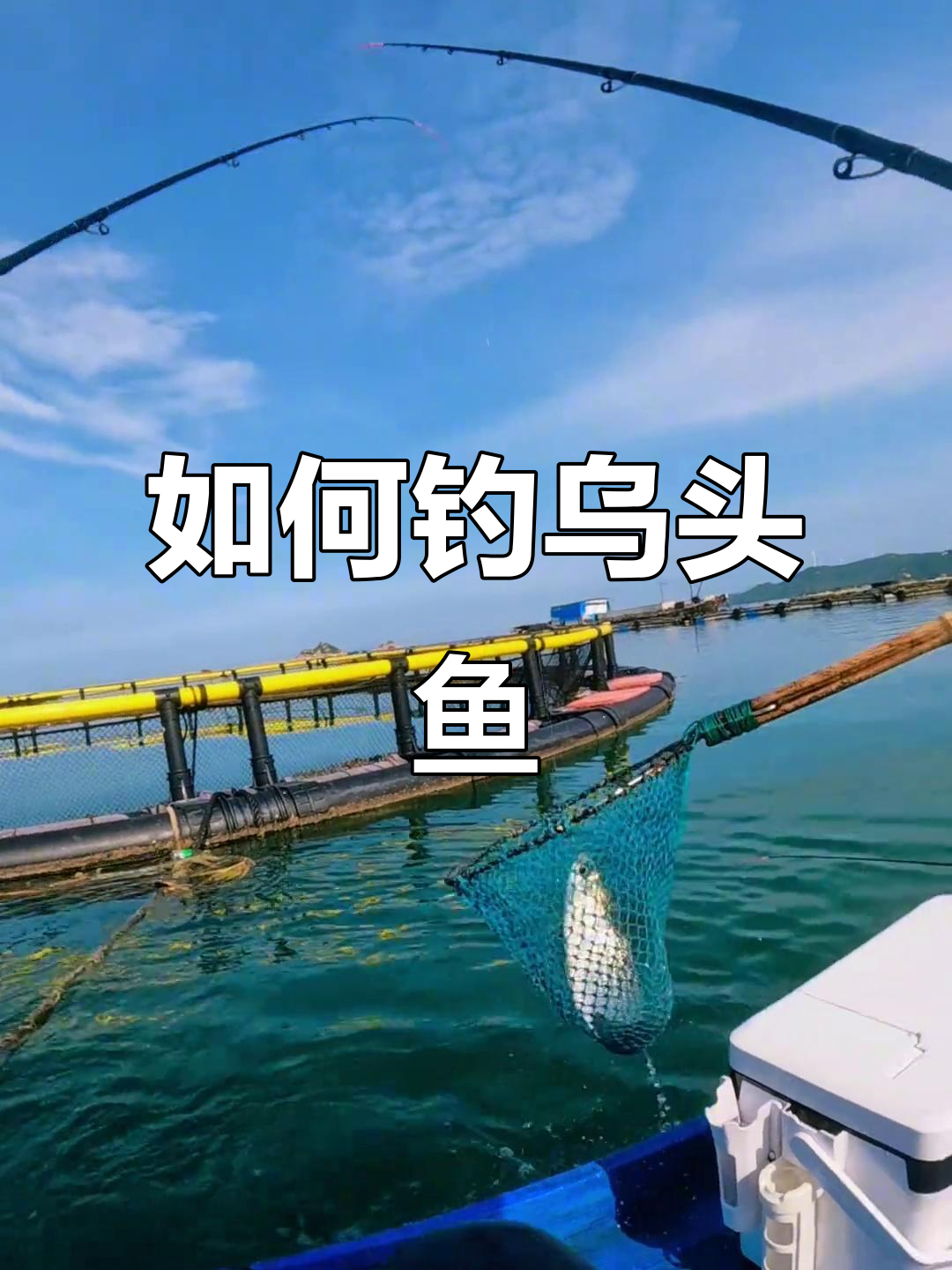 乌头鱼钓法大揭秘，轻松掌握筏钓技巧