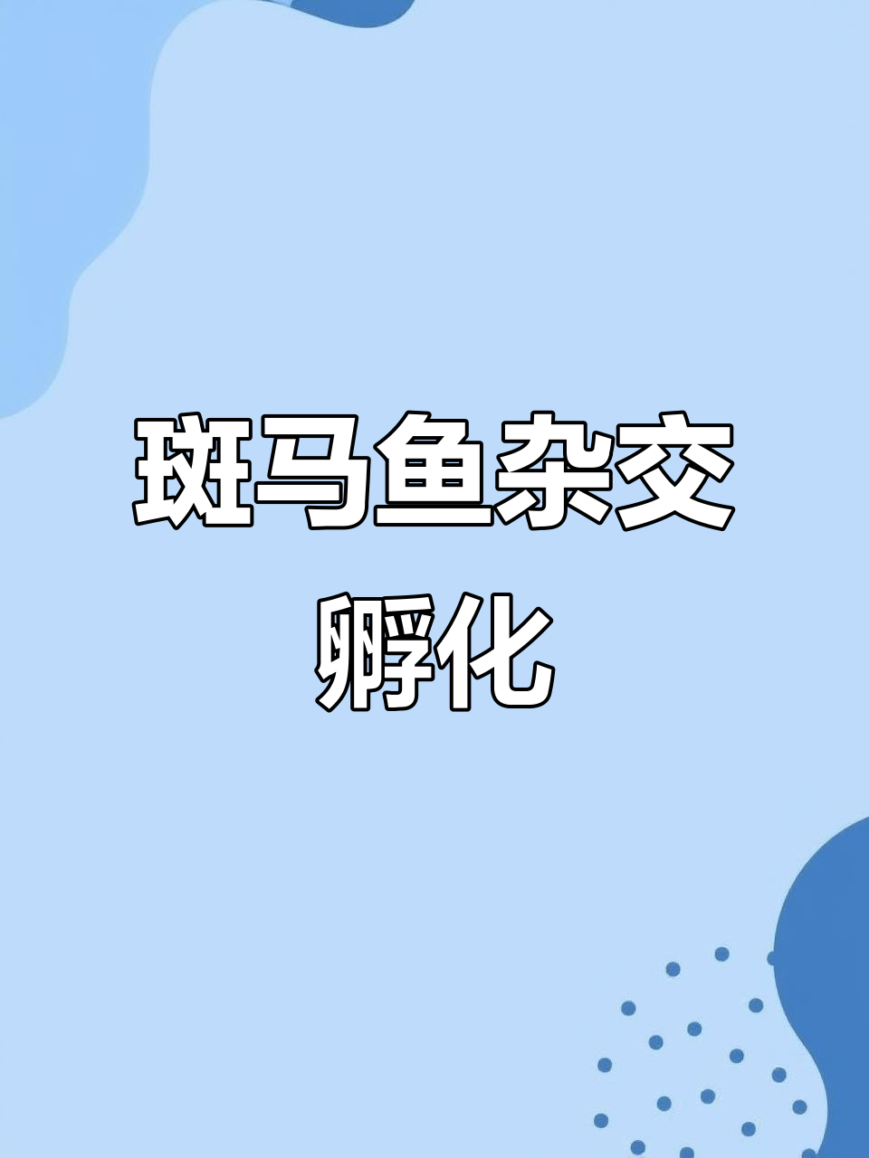 普通斑马鱼与蝶翼斑马鱼的混种后代,能否变色?