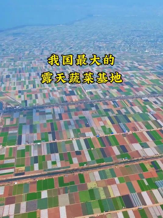 我国最大的露天蔬菜基地，非常的壮观