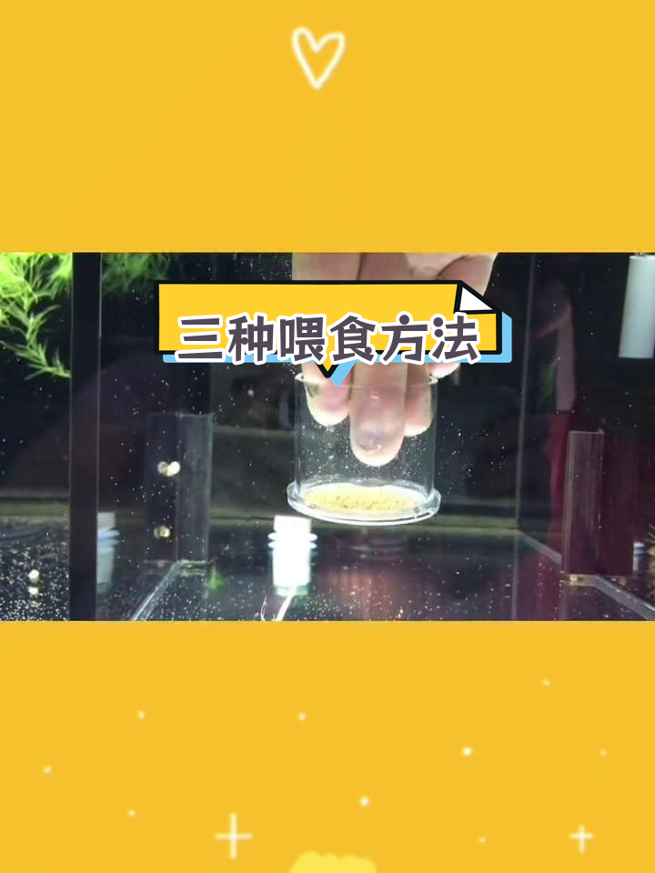 丰年虾喂食器三种使用技巧