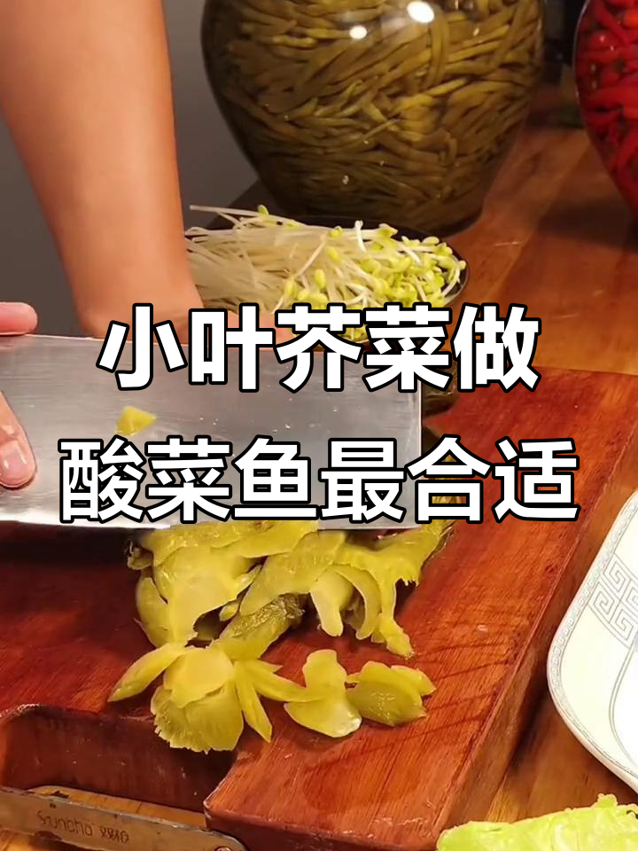 酸菜鱼为何选小叶芥菜？嫩脆又健康，乳酸菌工艺加持更美味