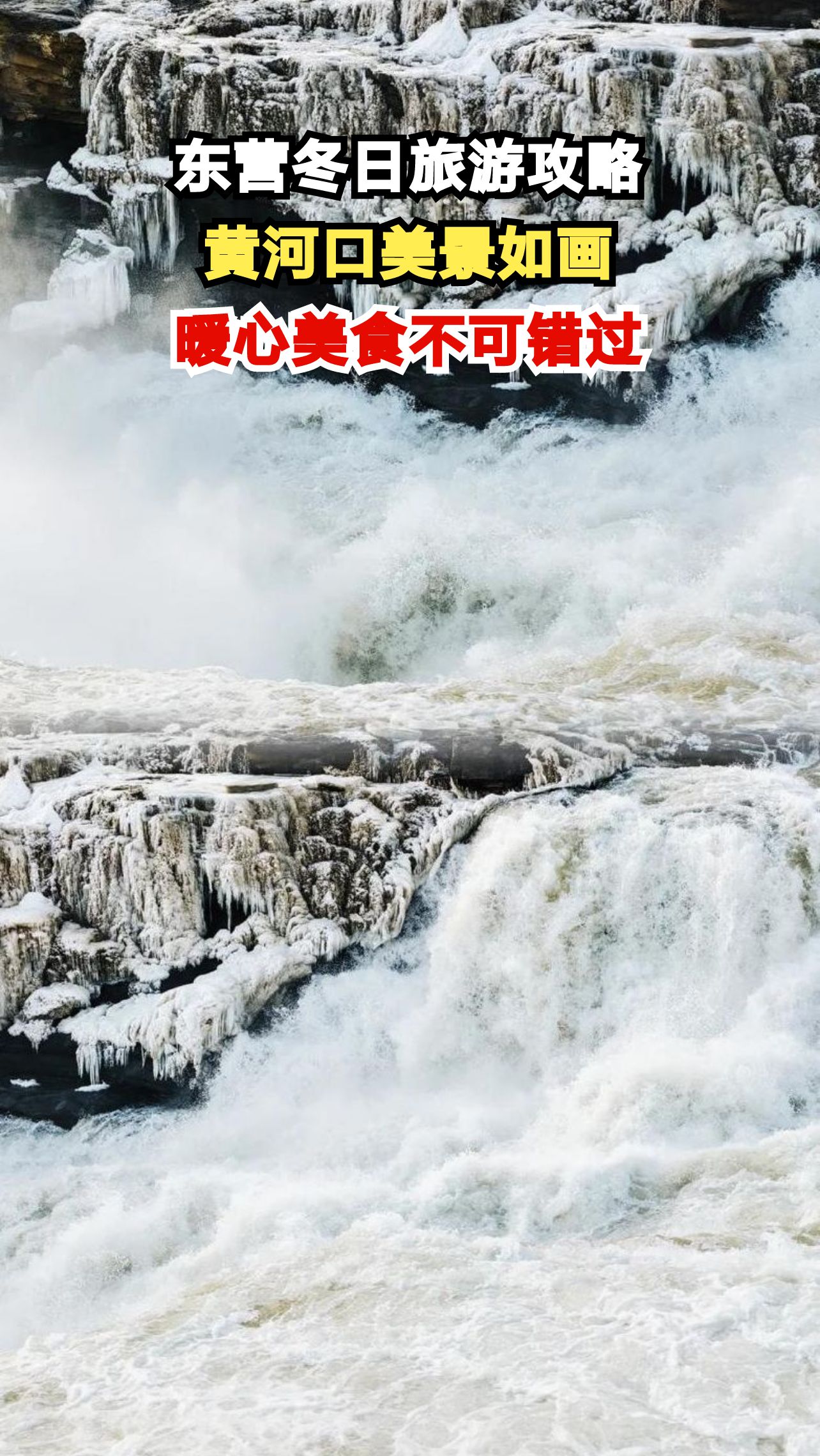 冬日东营黄河口奇观震撼,天鹅湖湿地雪中漫步治愈心灵