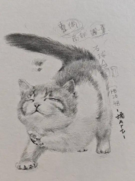 学员二期直播课  手绘 画画 素描动物 灵魂画手 因为热爱所以坚持