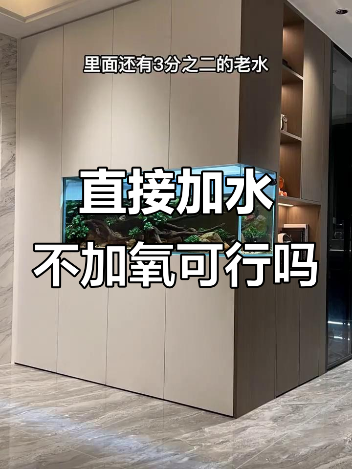 极简鱼缸柜直接加自来水，不供氧能行吗？