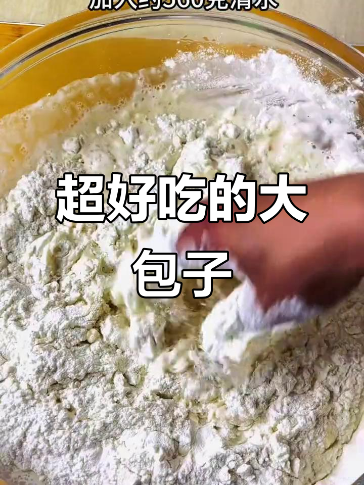 皮薄肉多，热腾腾大包子一学就会