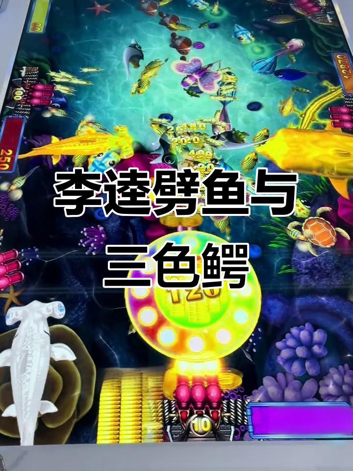 鳄鱼公园惊现李逵劈鱼,三色鳄鱼震撼来袭