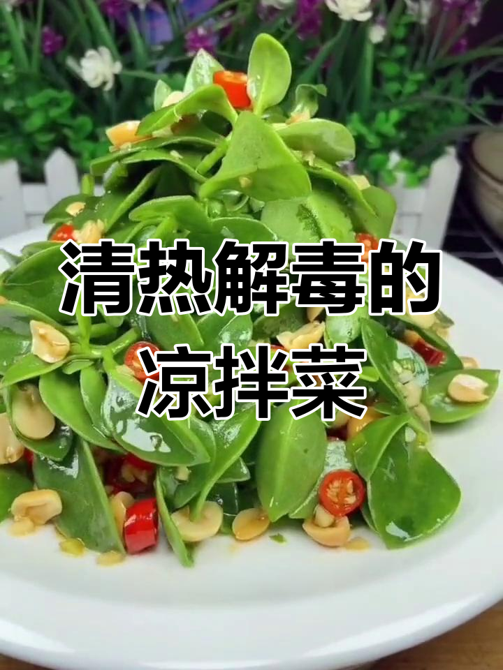 凉拌穿心莲,清热解毒又美味!