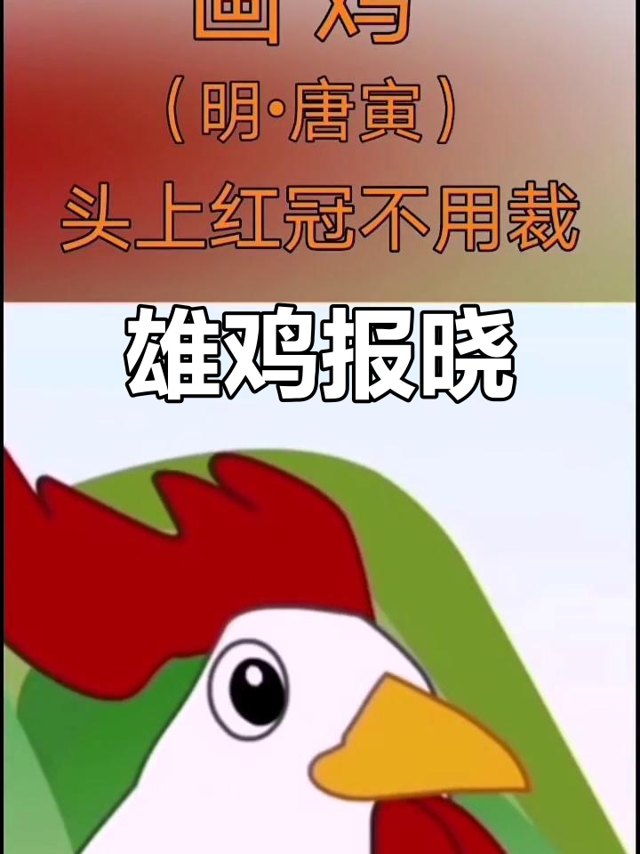 雄鸡雪白羽毛,鸣声一响,家家户户纷纷起床